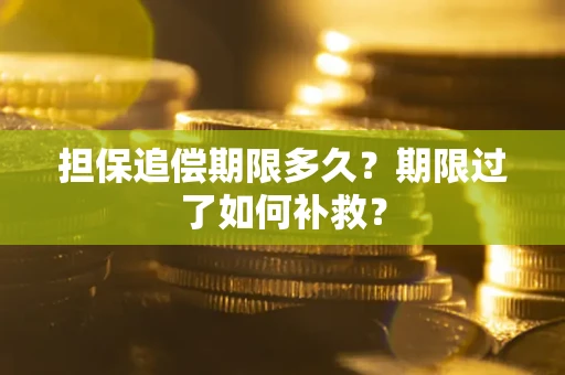 济南担保追偿期限多久？期限过了如何补救？