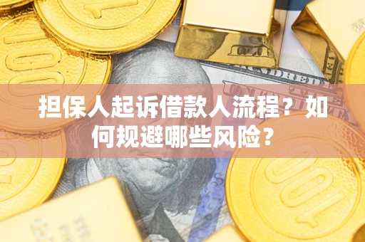 济南担保人起诉借款人流程？如何规避哪些风险？