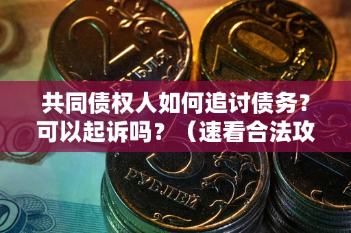 济南共同债权人如何追讨债务？可以起诉吗？（速看合法攻略）